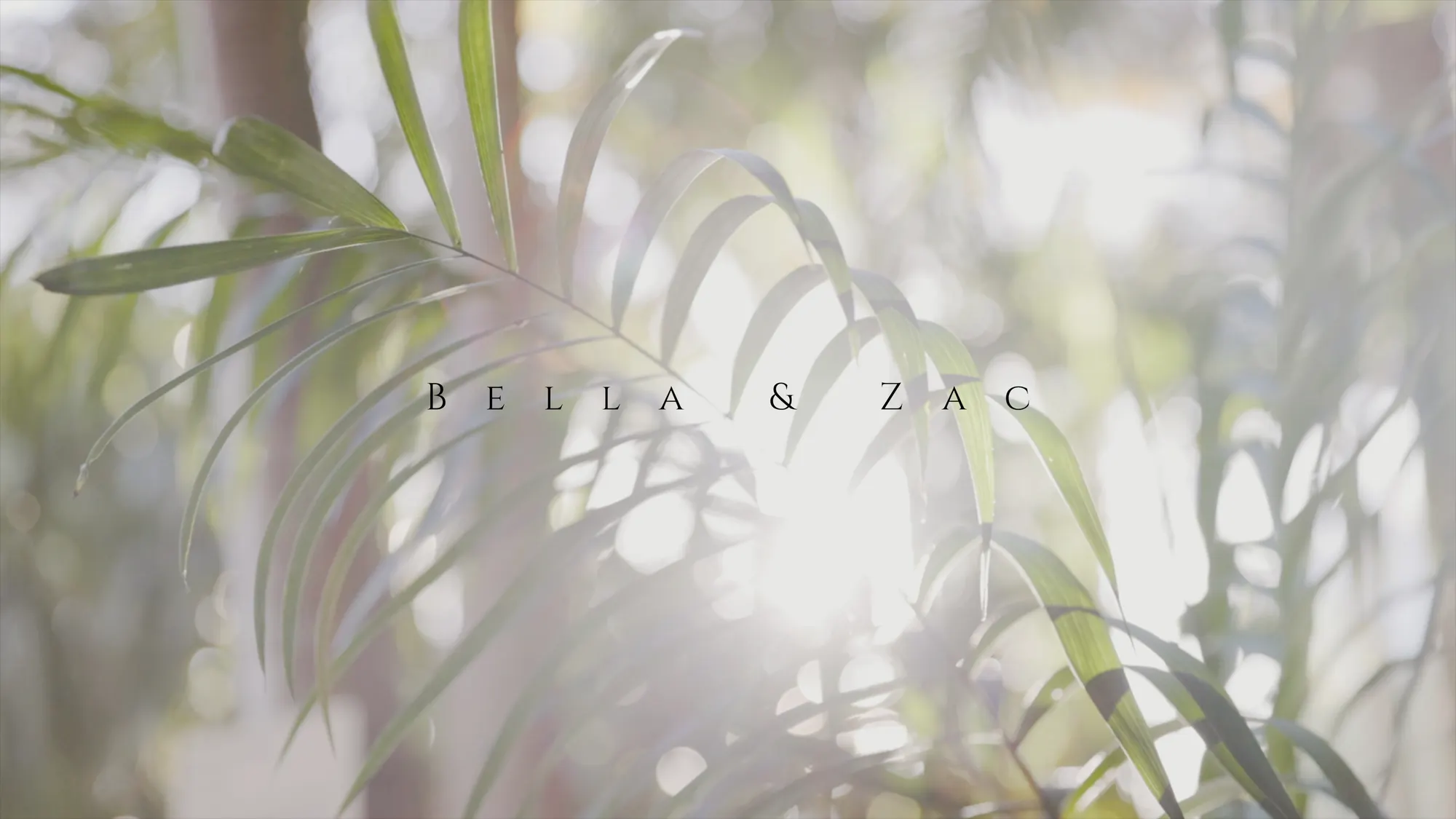 Bella & Zac at Botanic House, Sydney, wedding film frame 37