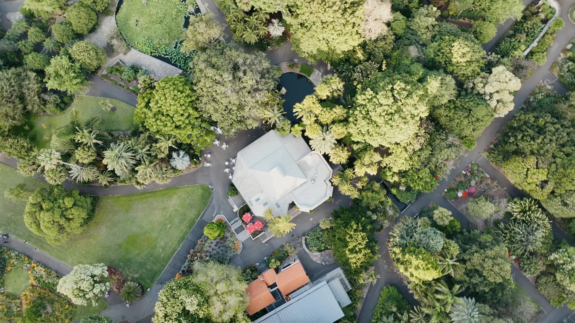 Bella & Zac at Botanic House, Sydney, wedding film frame 9