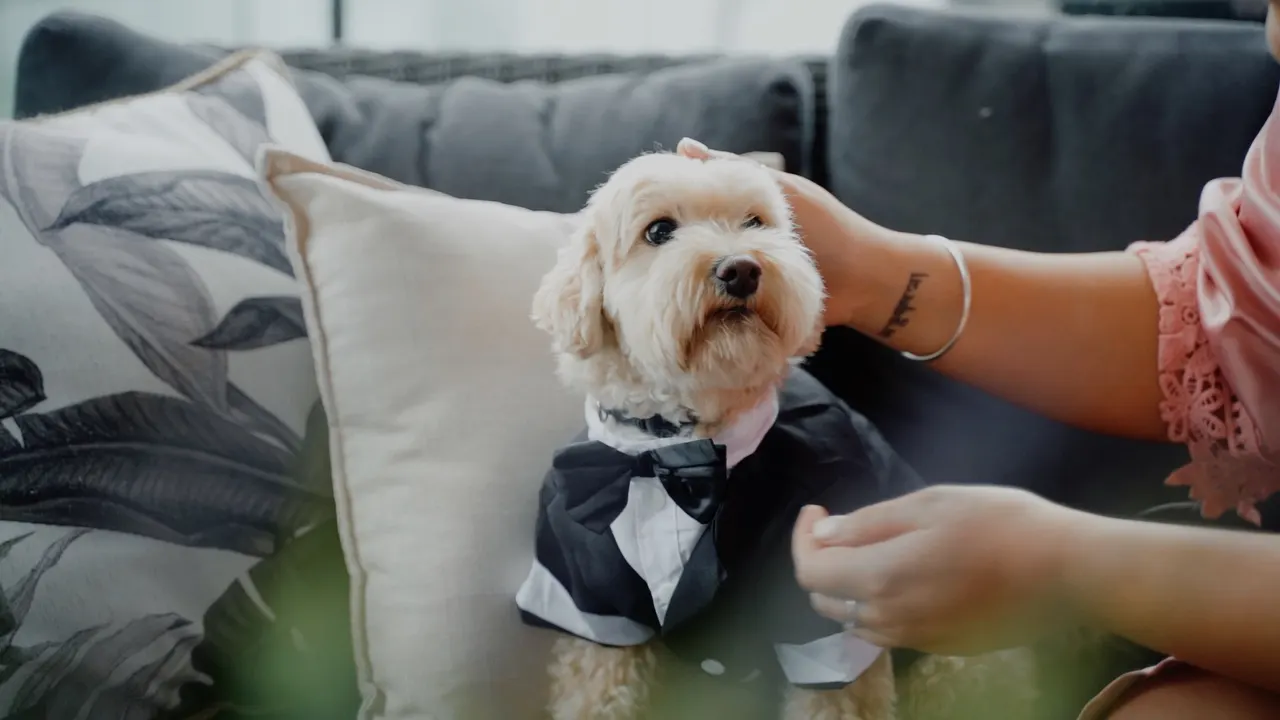 Renee & Simon at City Beach Wollongong, wedding film frame 9
