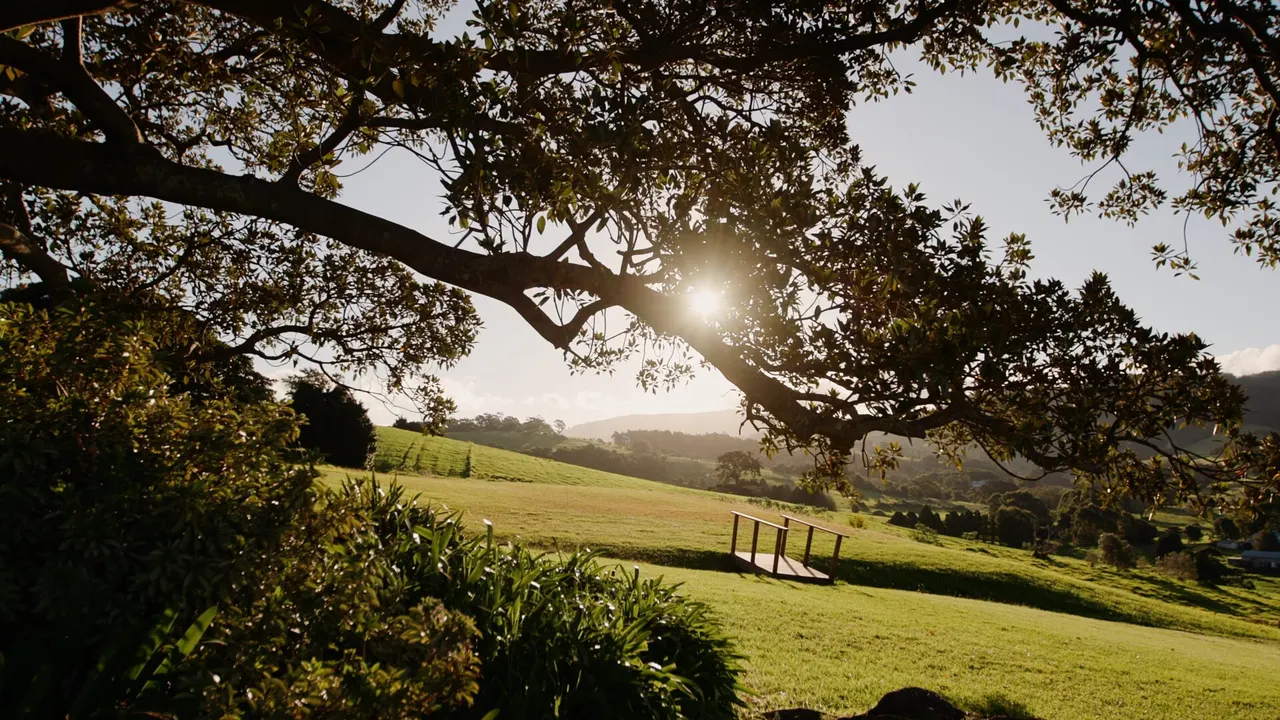 Ali & Matt at Crooked River Wines, Gerringong, wedding film frame 4